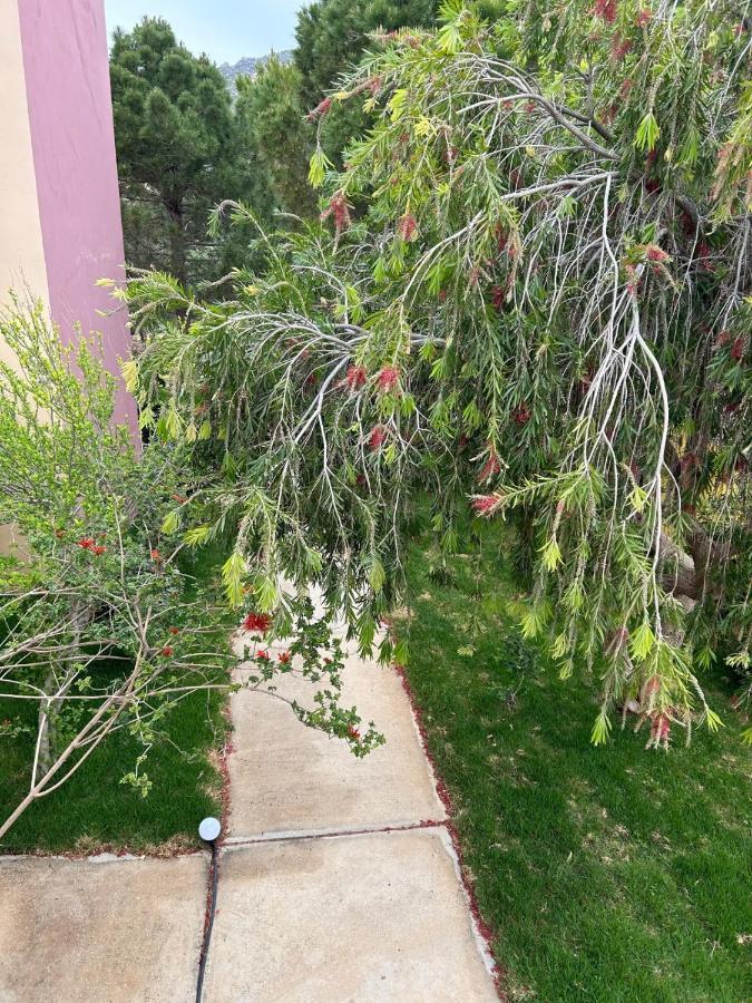 פליאוחורה Mediterranean Sea Top Floor מראה חיצוני תמונה